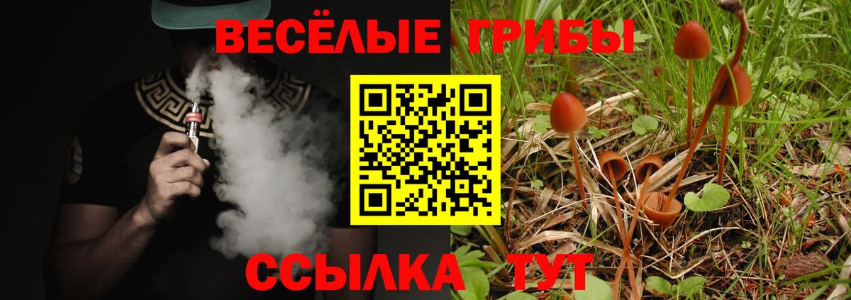 Псилоцибиновые грибы мухоморы  Вход с VPN  Азнакаево 
