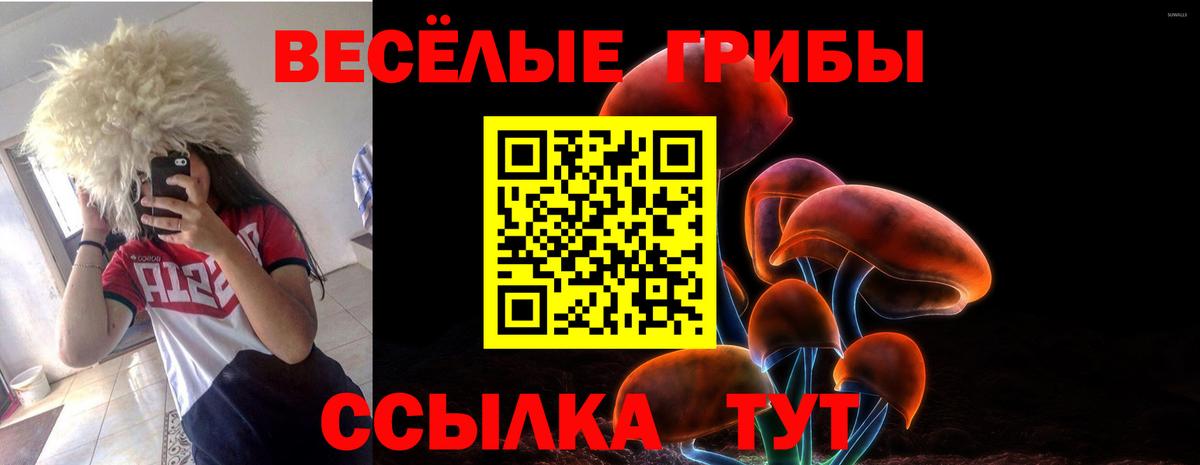 Псилоцибиновые грибы Psilocybine cubensis Азнакаево